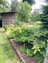 Fotka 18