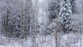 Fotka 26
