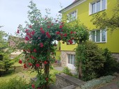 Fotka 26