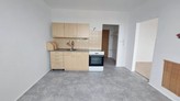 Pronájem 1+1 s krásným výhledem, 39 m², Františkovy Lázně